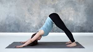 student in yoga class are doing facing down dog